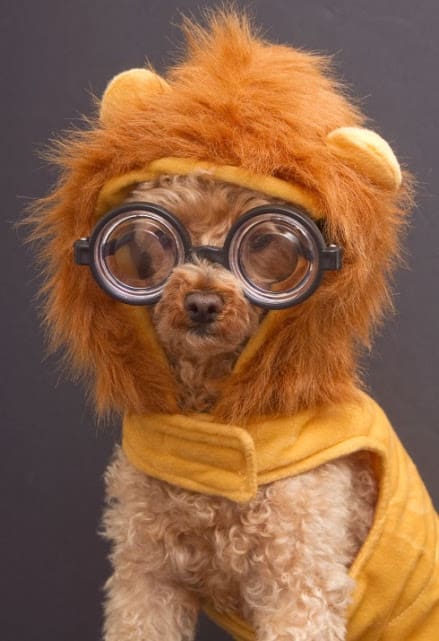 commenti google plus