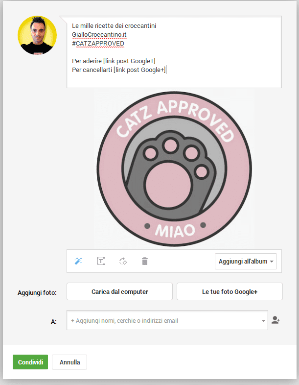 cerchie newsletter google plus