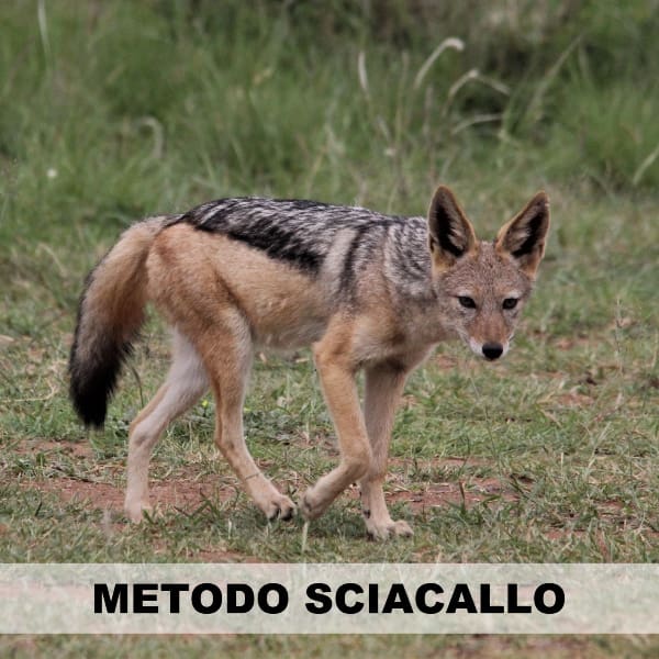 ome comunicare in periodo di crisi: metodo sciacallo